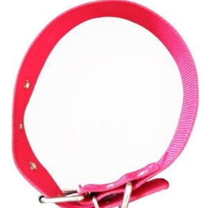 COLLAR DE NYLON GRANDE S-1
