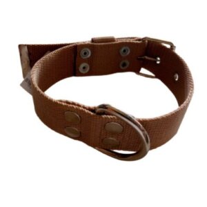 COLLAR VAN DAMME LAES PERRO