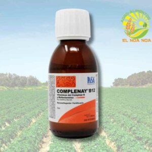 COMPLENAY B12  100 ML VITAMINAS DEL COMPLEJO B Y MEFENTERMINA