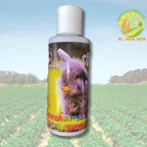 CONEJO  ANTIDIARREICO SUNNY