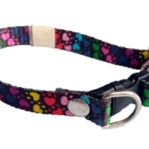 COLLAR PERRO FASHION CRISTIAN