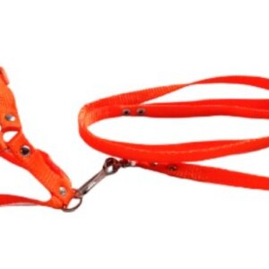 CORREA CON PECHERA AJUSTABLE ECO