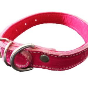 COLLAR PERRO PIEL SERGIO REFORZADO NUM. 3 CON O SIN FELPA