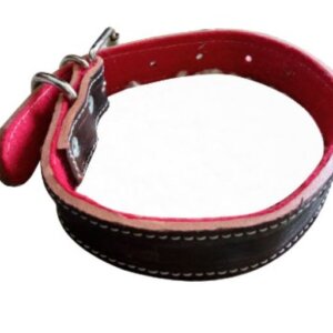 COLLAR PERRO PIEL SERGIO REFORZADO NUM 4 CON O SIN FELPA