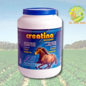 CREATINA 1 KG