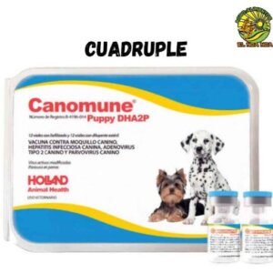 VACUNA CUADRUPLE PUPPY DHA2P 1 DS CANOMUNE HOLAND
