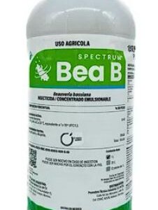 SPECTRUM BEA B 12X1.