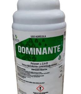 DOMINANTE DE 1LT