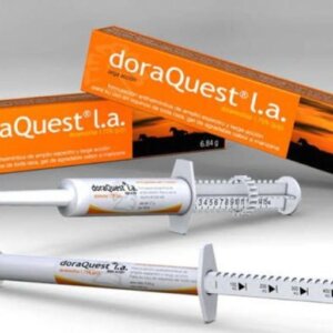 DORA QUEST L.A. PASTA