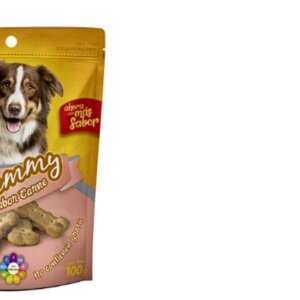 GALLETAS YUMMY CARNE 100 GRS FANCY PETS