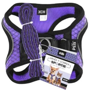 SET ARNES Y CORREA SPORTIE XCH VIOLETA