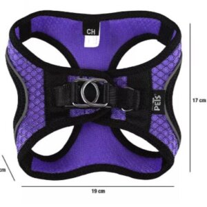 SET ARNES Y CORREA SPORTIE CH VIOLETA