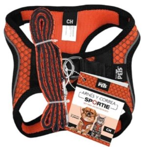 SET ARNES Y CORREA SPORTIE XCH NARANJA