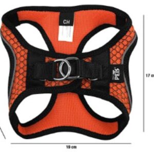 SET ARNES Y CORREA SPORTIE CH NARANJA