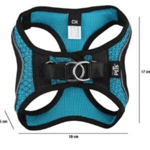 SET ARNES Y CORREA SPORTIE CH AZUL