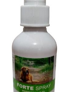 FORTE SPRAY DE 120 ML