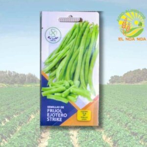 SEMILLA DE FRIJOL EJOTERO EN SOBRE MARCA KAANCHE