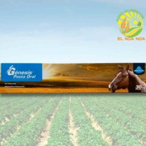 GENESIS PASTA ORAL 30ML