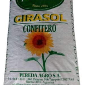 GIRASOL GRIS RAYADO GRANDE X KILO