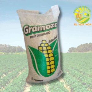 GRANZA DE MAIZ BULTO DE 40 KGS