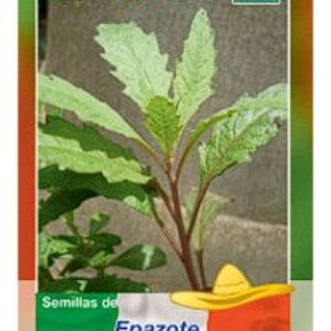 EPAZOTE SEMILLA HORTAFLOR SOBRE DE 2GRS