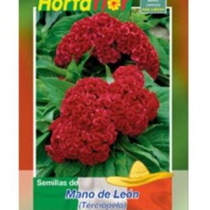 MANO DE LEON SEMILLA HORTAFLOR SOBRE DE 0.5GRS