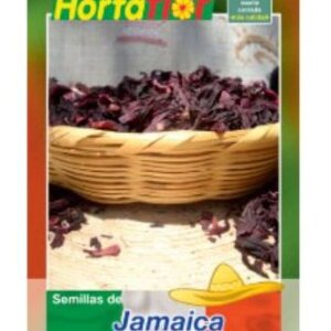 SEMILLA DE JAMAICA HORTAFLOR