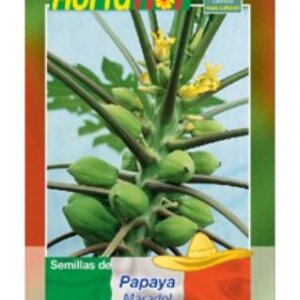 PAPAYA MARADOL SEMILLA HORTAFLOR SOBRE CON 5 SEMILLAS