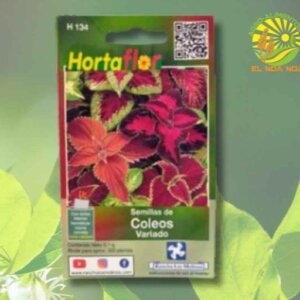 COLEOS VARIADO SEMILLA HORTAFLOR SOBRE DE 0.1GR