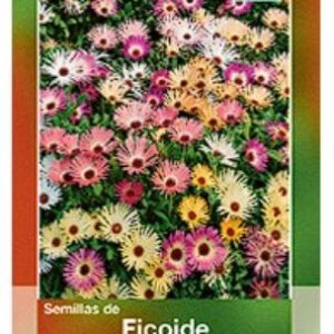FICOIDE TAPIZ MAGICO SEMILLA HORTAFLOR SOBRE DE 2GRS