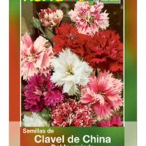 SEMILLAS CLAVEL DE CHINA DOBLE VARIADO