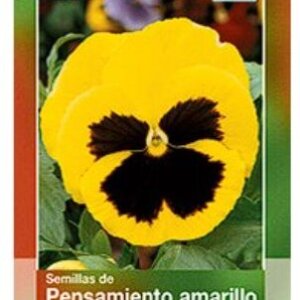 PENSAMIENTO AMARILLO ORO DEL RHIN SEMILLA HORTAFLOR SOBRE DE 3GRS