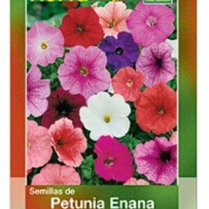 PETUNIA ENANA VARIADA HORTAFLOR SEMILLA SOBRE