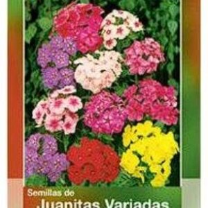 JUANITAS VARIADAS CONT. 0.04GRS