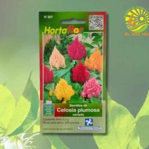 CELOSIA PLUMOSA VARIADA SEMILLA HORTAFLOR SOBRE DE .02GRS