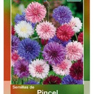 PINCEL CENTAUREA VARIADA SEMILA HORTAFLOR SOBRE DE 9GRS