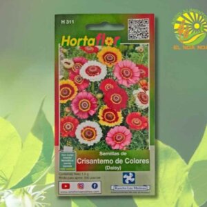 CRISANTEMO DE COLORES SEMILLA HORTAFLOR SOBRE DE 1GR