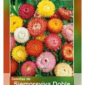 SIEMPRE VIVA DOBLE SEMILLA HORTAFLOR SOBRE DE 50GRS