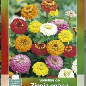 SEMILLA ZINNIA ENANA HORTAFLOR