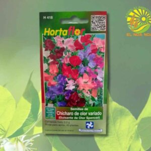 CHICHARO DE OLOR VARIADO GUISANTE SEMILLA HORTAFLOR SOBRE DE 3GRS