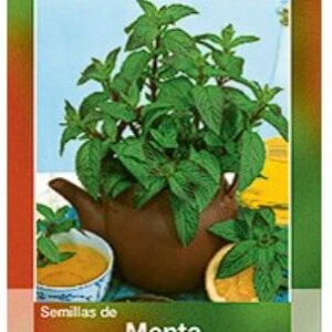 MENTA HORTAFLOR SEMILLA SOBRE