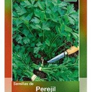 PEREJIL HORTAFLOR SEMILLA SOBRE
