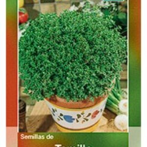 TOMILLO SEMILLAS HORTAFLOR SOBRE DE 1GR