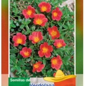 VERDOLAGA DE HOJA ANCHA SEMILLAS HORTAFLOR SOBRE DE 5GRS