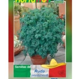 RUDA *MEDICINAL* SEMILLA HORTAFLOR SOBRE DE 1 GR