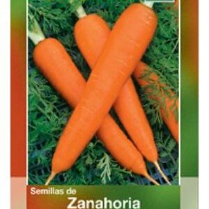 SEMILLAS ZANAHORIA HORTAFLOR