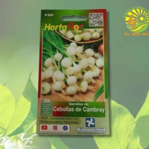 CEBOLLA CAMBRAY SEMILLA HORTAFLOR SOBRE DE 3 GRS