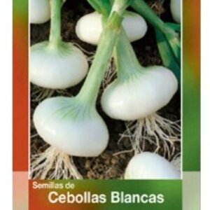 SEMILLA DE CEBOLLA BLANCA HORTAFLOR