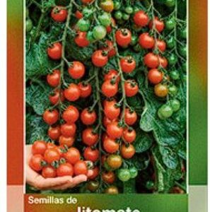 JITOMATE CEREZA SEMILLA HORTAFLOR SOBRE DE 1GR