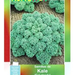 KALE COL RIZADO SEMILLA HORTAFLOR SOBRE DE 1GR